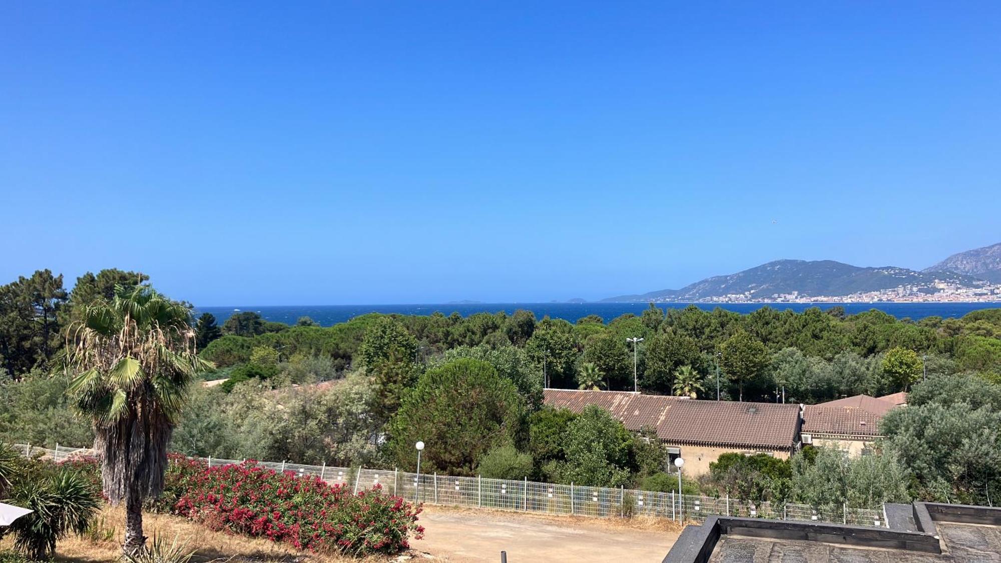 Porticcio Vacations - Terrasse, Piscine, Jacuzzi, Clim - By Tgb Apartamento Exterior foto